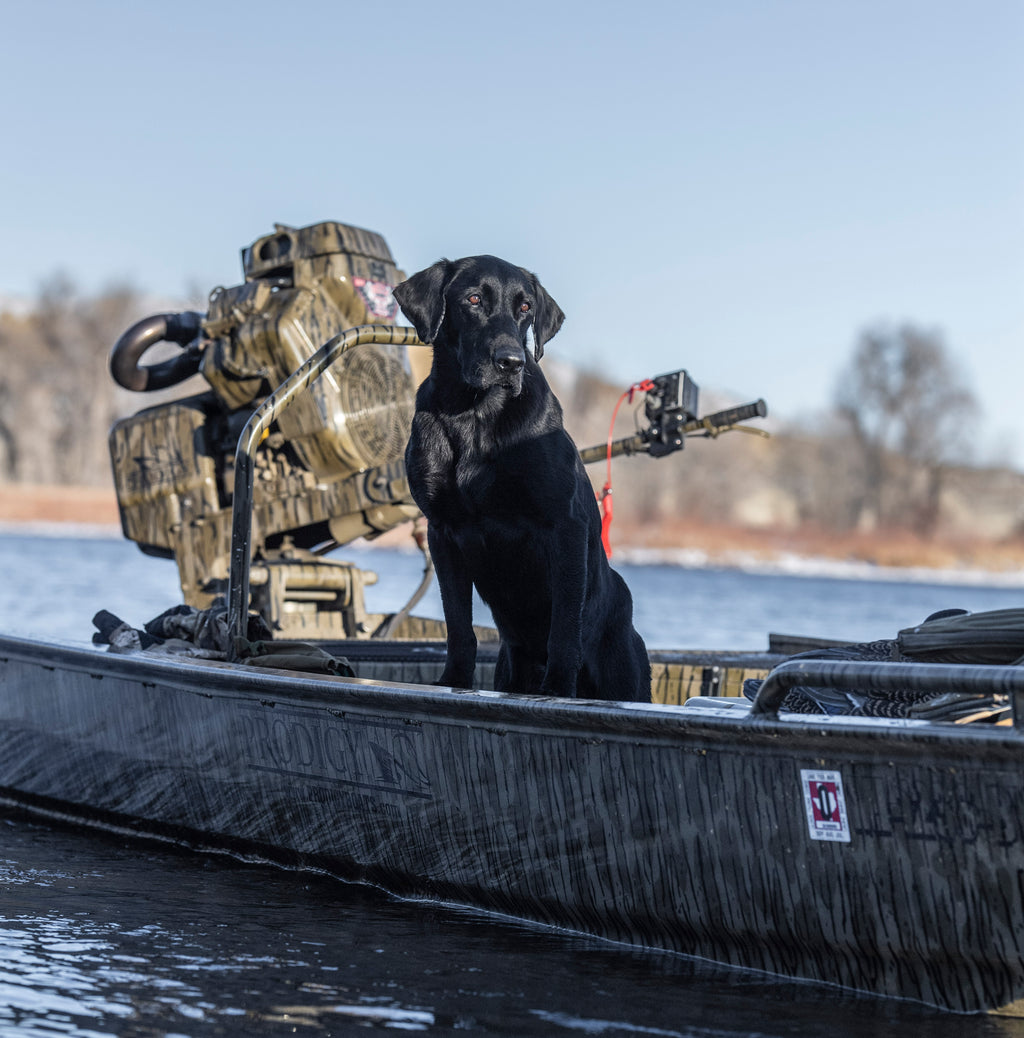 A Milestone for Quack Rack, Explore Our New site QuackRack