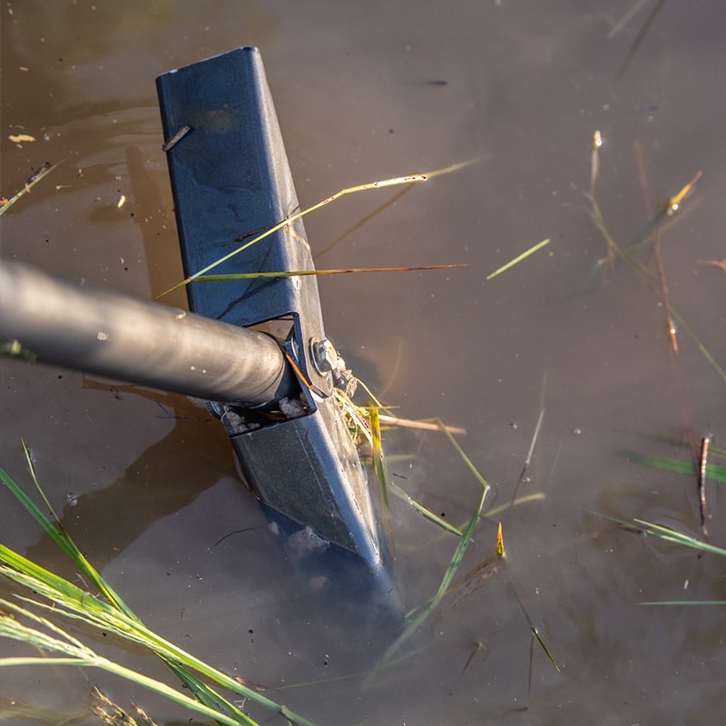 The Swamp Stool